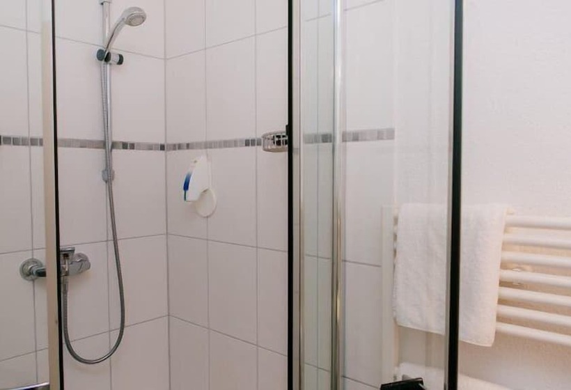 اتاق استاندارد یک نفره, Landhotel Airport Inn