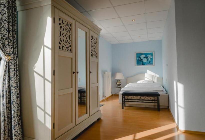 シングルデラックスルーム, Stadtresidenz