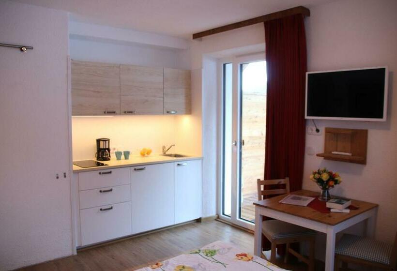 إستديو قياسى مزود بشرفة, Gästehaus Landhaus Tyrol