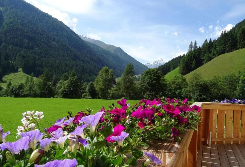 إستديو قياسى مزود بشرفة, Gästehaus Landhaus Tyrol