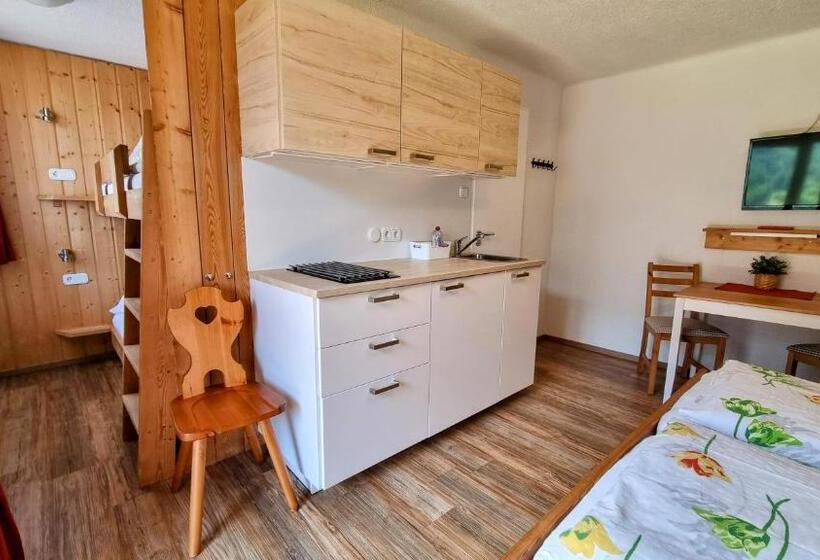 إستديو عائلى, Gästehaus Landhaus Tyrol