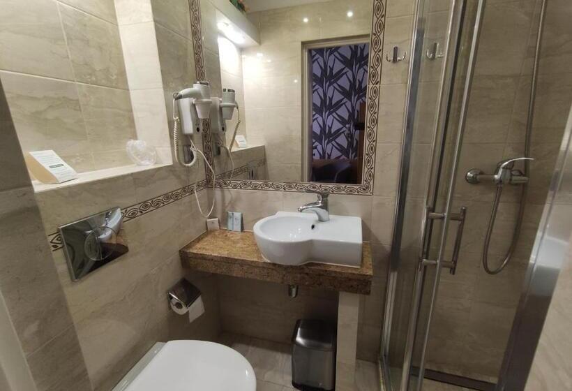 스탠다드 싱글 룸, Atena