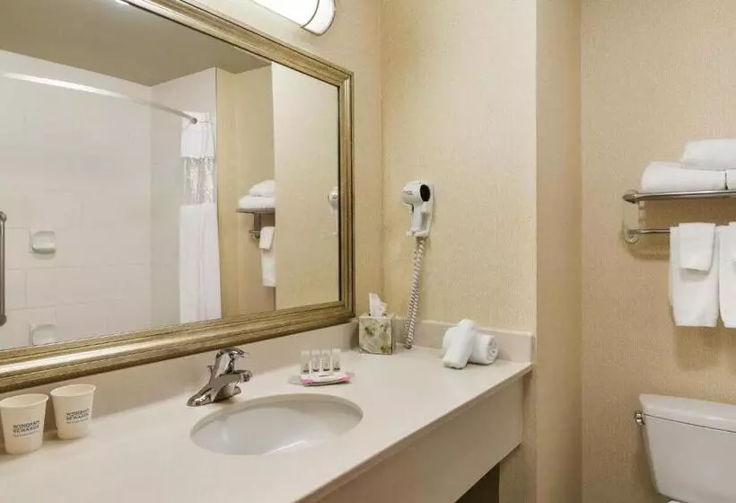スタンダードルーム, Days Inn & Suites By Wyndham Edmonton Airport