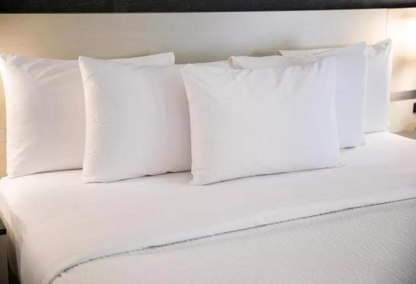 キングサイズベッドのスイートルーム, Days Inn & Suites By Wyndham Edmonton Airport