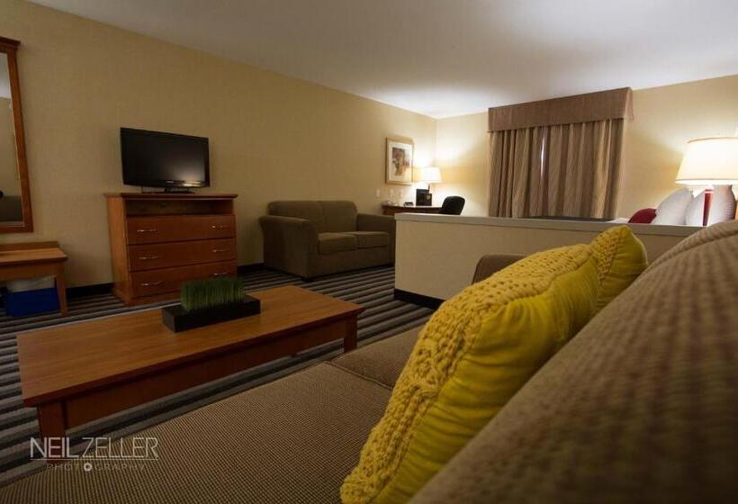 جناح سرير كينج, Days Inn & Suites By Wyndham Edmonton Airport