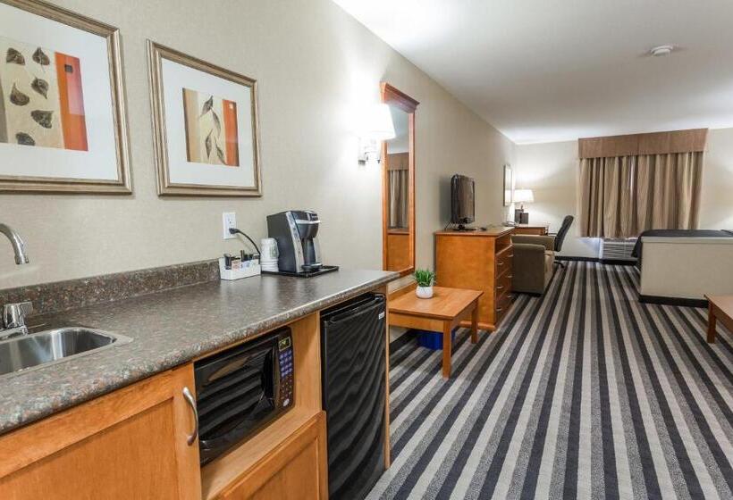 Люкс Кровать Кинг, Days Inn & Suites By Wyndham Edmonton Airport