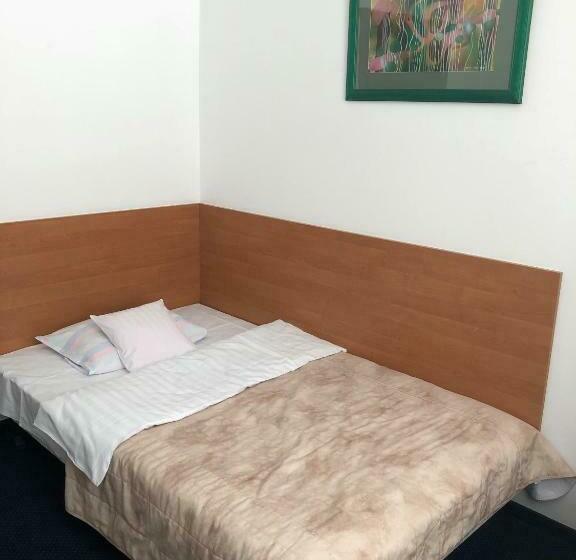 Camera Standard Individuale, Geovita Wisła