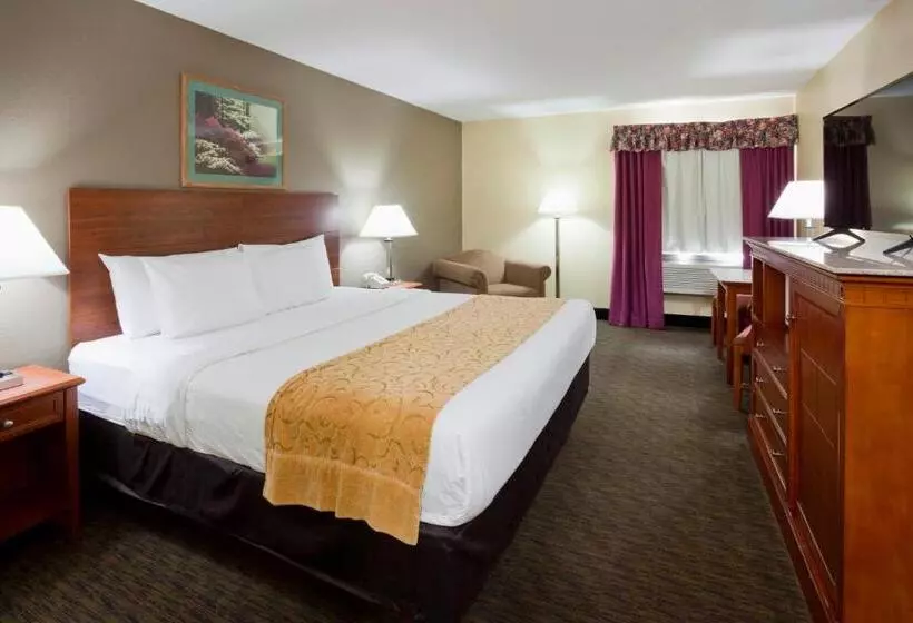 身障者適用キングサイズベッドルーム, Grandstay Hotel And Suite Waseca