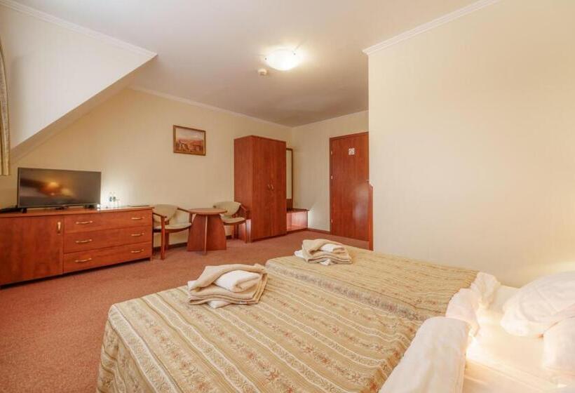 اتاق استاندارد, Le Mont Medical & Spa