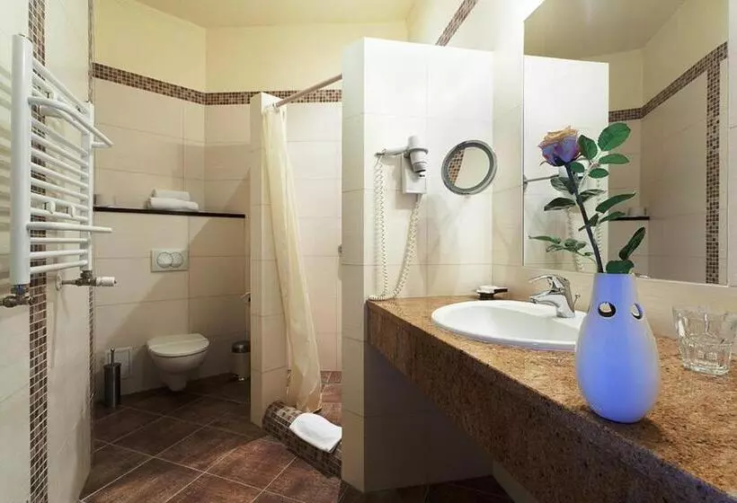 コンフォートシングルルーム, Papuga Park Hotel Wellness Marrakesz & Spa