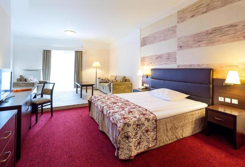 اتاق راحتی یک تخته, Papuga Park Hotel Wellness Marrakesz & Spa