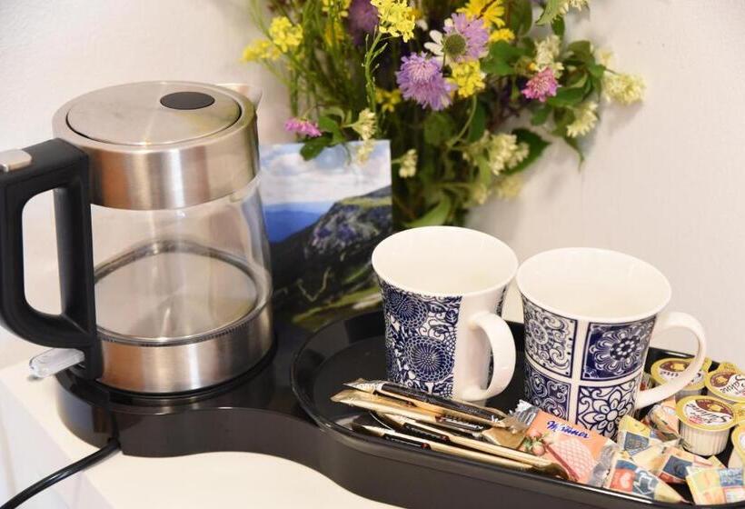 标准间带阳台, Payerbacherhof