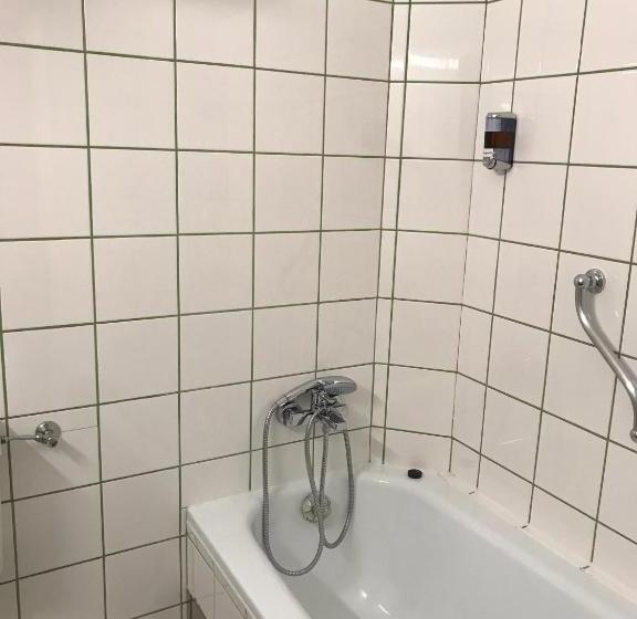 经济型三人房间, Payerbacherhof