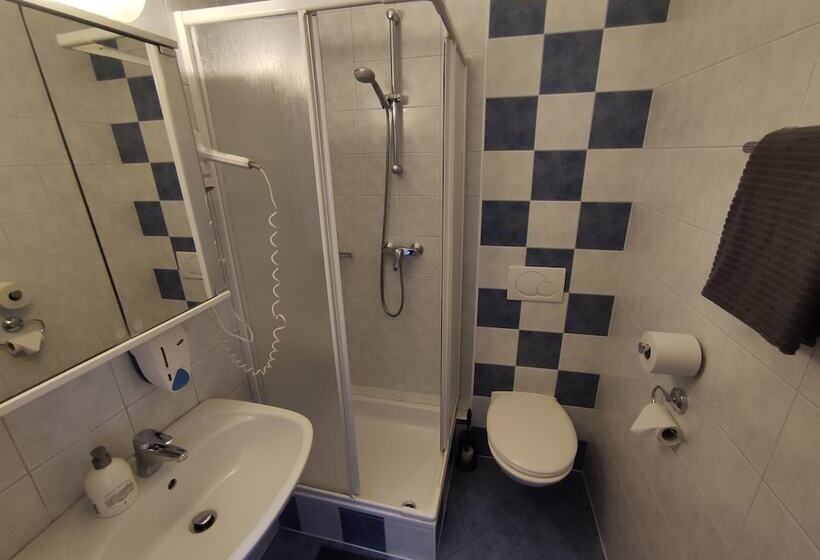 חדר סטנדרט נוף לאגם, Pension Zum Mühlrad