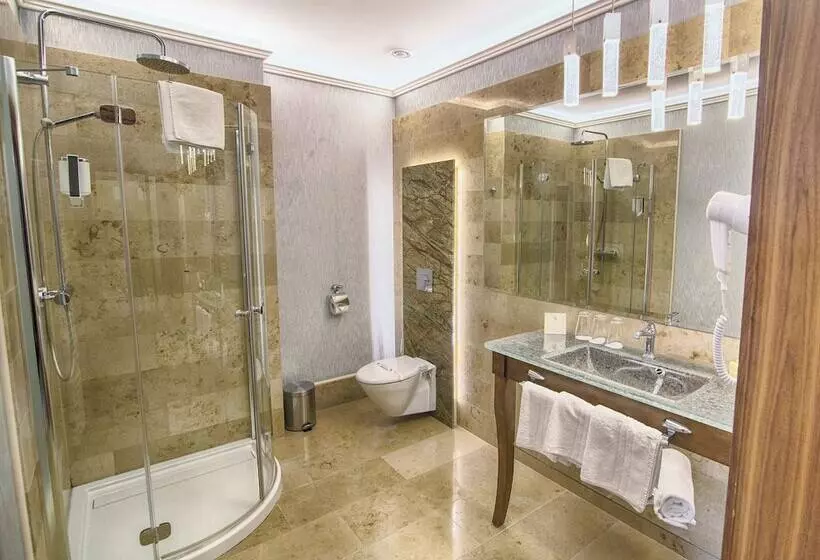 スタンダードルーム, Rezydencja Luxury Hotel Bytom Piekary śląskie