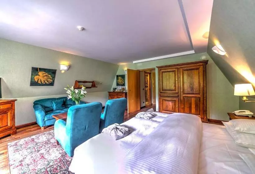 １ベッドルームアパートメント, Jelenia Struga Medical Spa