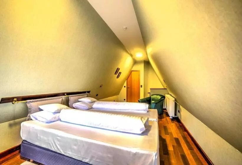 １ベッドルームアパートメント, Jelenia Struga Medical Spa