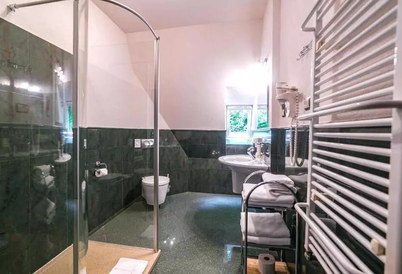 バルコニー付きデラックスルーム, Jelenia Struga Medical Spa