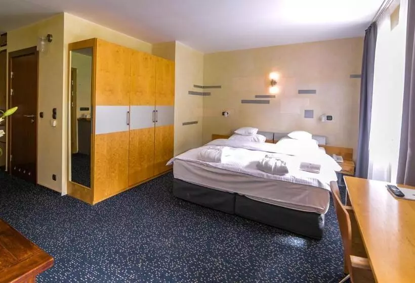 スーペリアールーム, Jelenia Struga Medical Spa
