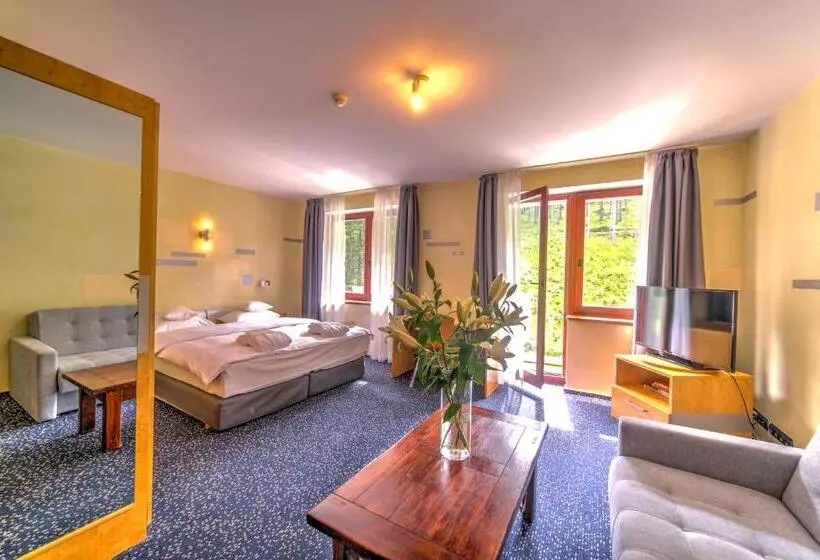スーペリアールーム, Jelenia Struga Medical Spa