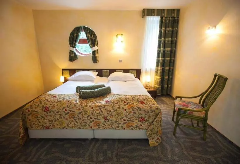 スーペリアールーム, Jelenia Struga Medical Spa