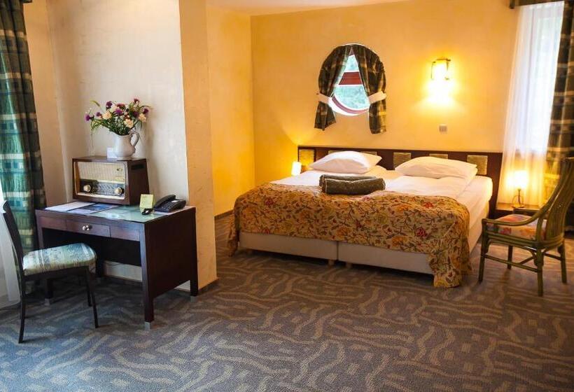 חדר סופריור, Jelenia Struga Medical Spa