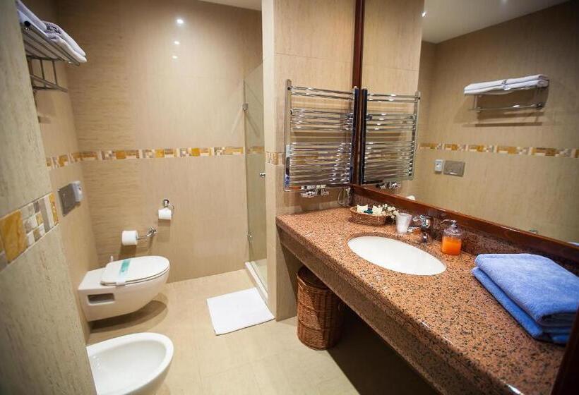 Номер Superior, Jelenia Struga Medical Spa