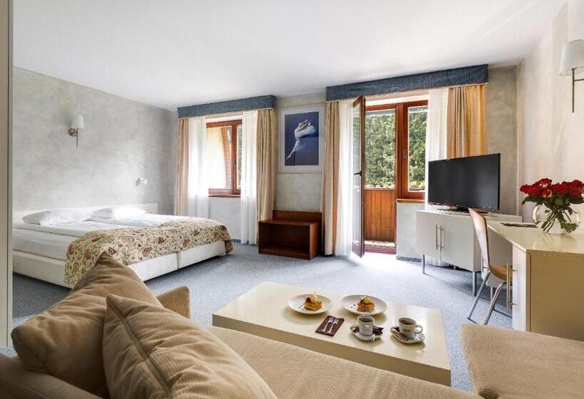 חדר סופריור, Jelenia Struga Medical Spa