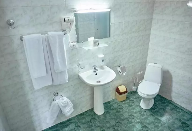 Standard-huone, Nikotel Hotel Mykolaiv