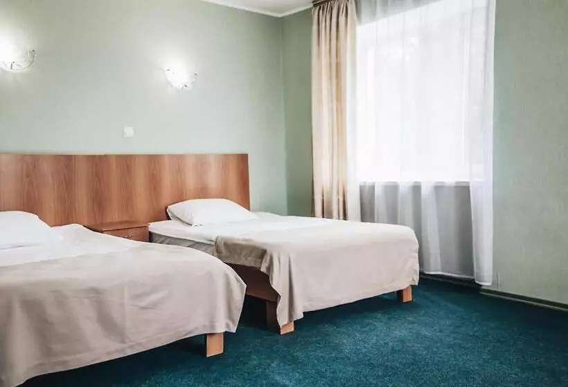 Standard-huone, Nikotel Hotel Mykolaiv