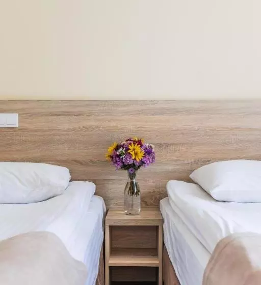 Superior-huone, Nikotel Hotel Mykolaiv