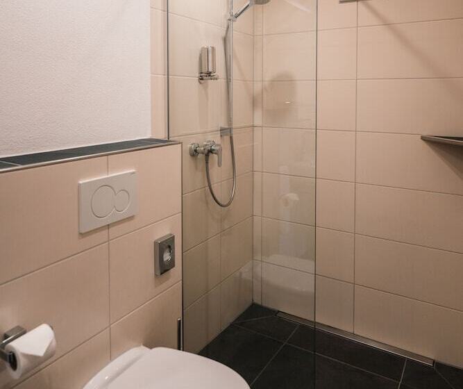 스탠다드 룸, Landhotel Und Weingasthof Schwarzer Adler