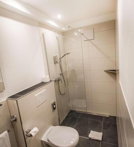 스탠다드 룸, Landhotel Und Weingasthof Schwarzer Adler