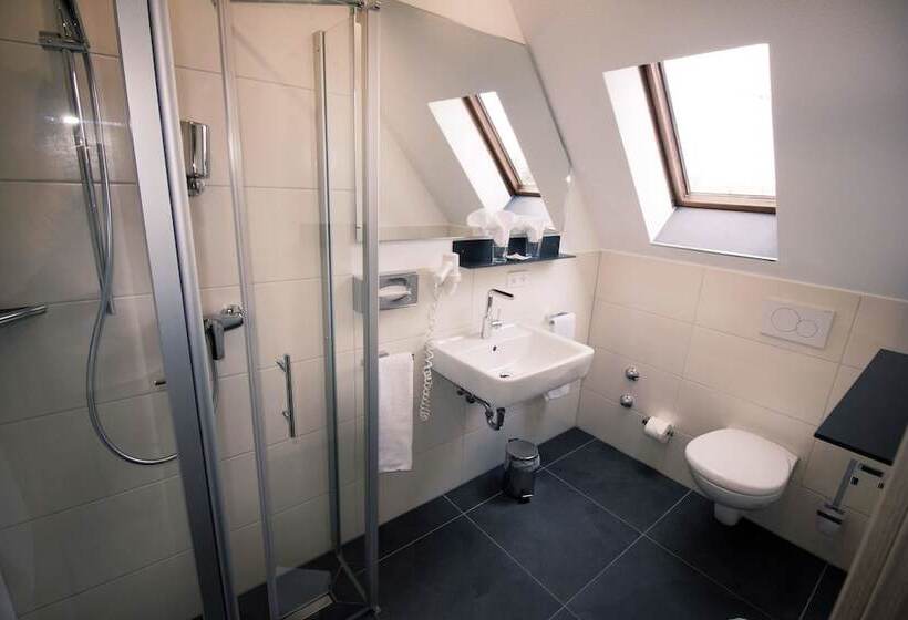 스탠다드 싱글 룸, Landhotel Und Weingasthof Schwarzer Adler