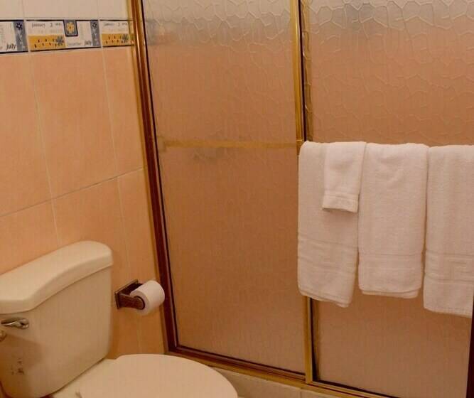 Standard Single Room Single Bed, Plaza Alicante