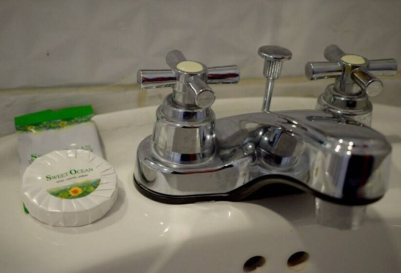 Standard Single Room Single Bed, Plaza Alicante