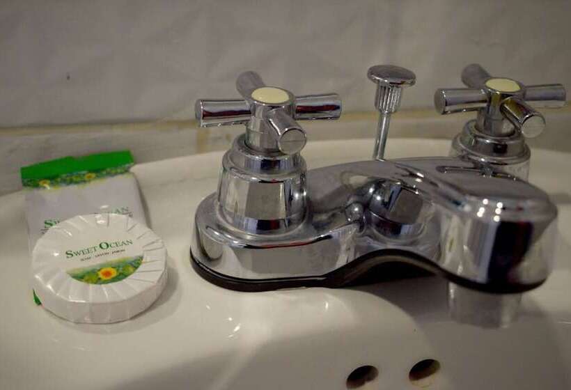 Standard Single Room Single Bed, Plaza Alicante