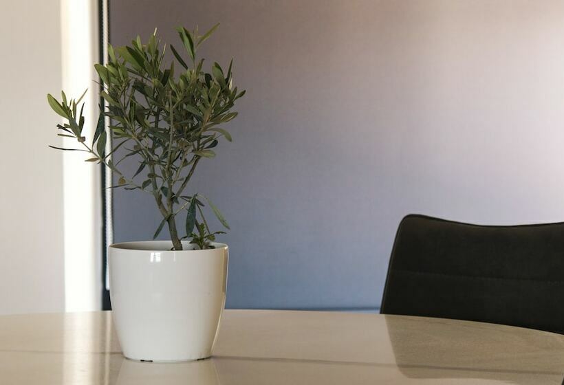 جناح جونيور, Casa Bloo Adults Only