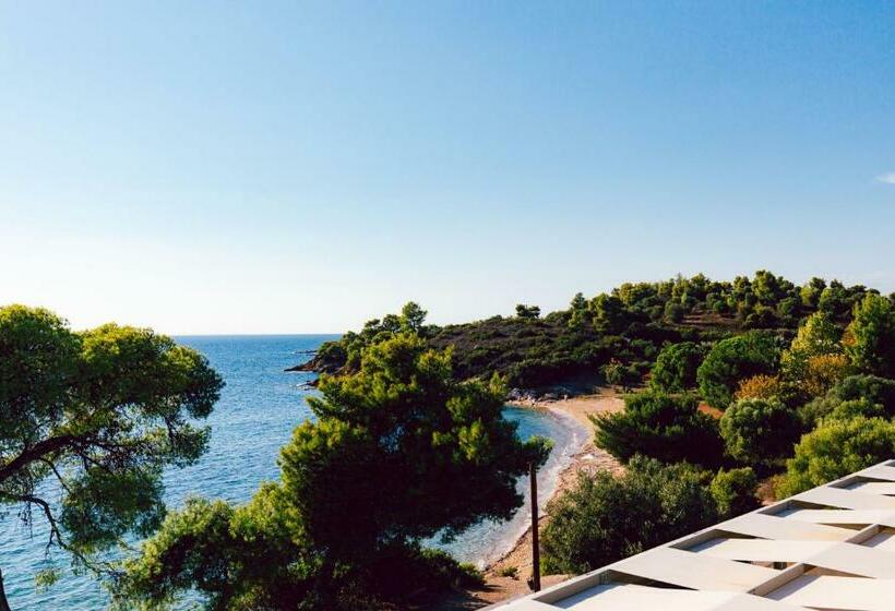 جناح جونيور مطلّ علي البحر, Casa Bloo Adults Only