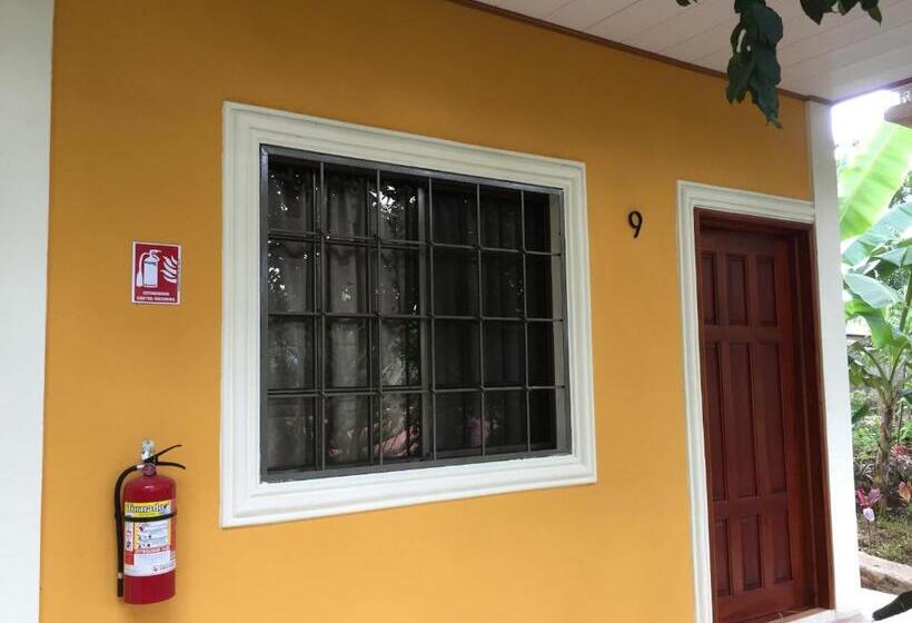 اتاق استاندارد, Apart Hotel Acuarious De Luis