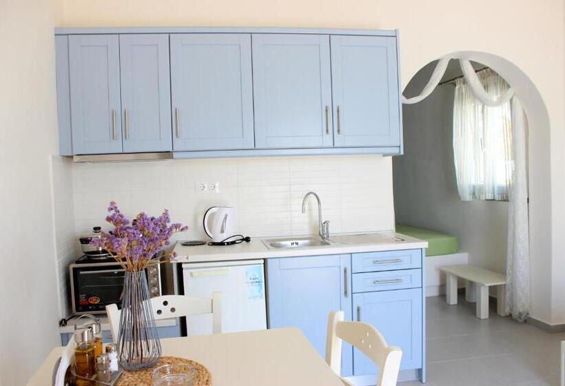 استودیوی استاندارد, Drimoni Boutique