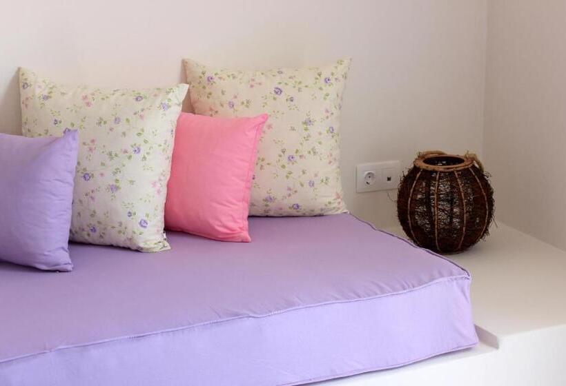 استودیوی استاندارد, Drimoni Boutique