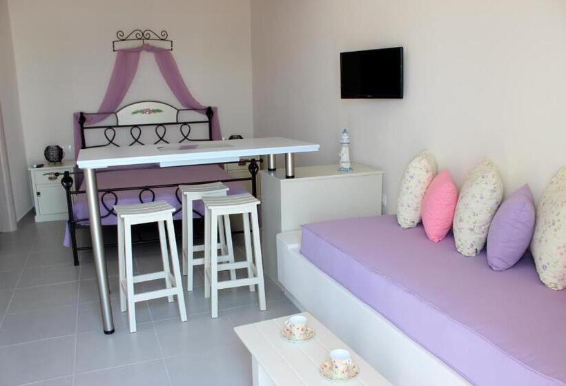 استودیوی استاندارد, Drimoni Boutique