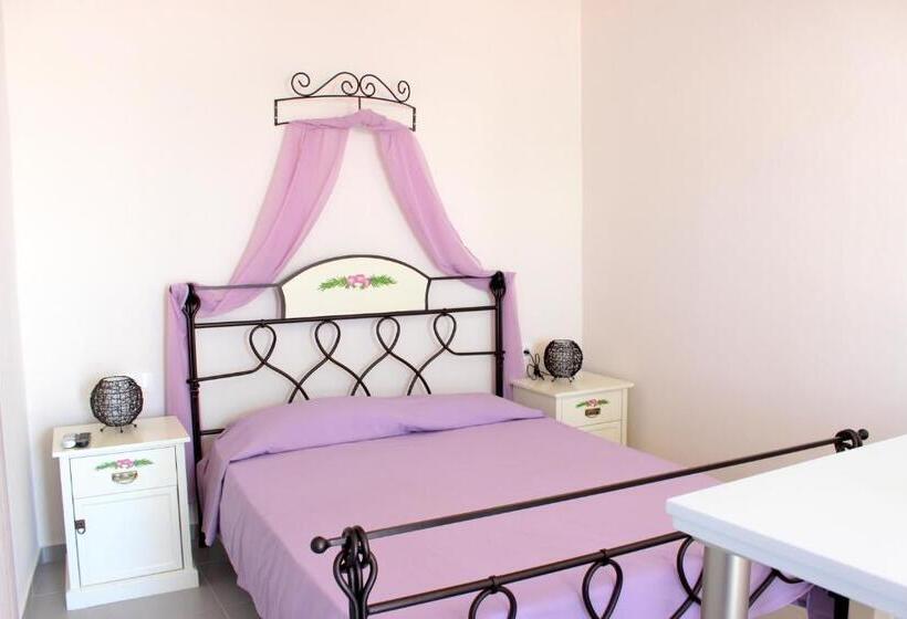 إستوديو قياسى, Drimoni Boutique