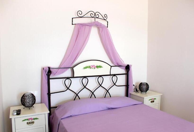 استودیوی استاندارد, Drimoni Boutique