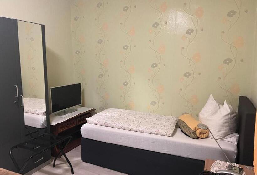 高级单人间, Pension Wiesenau