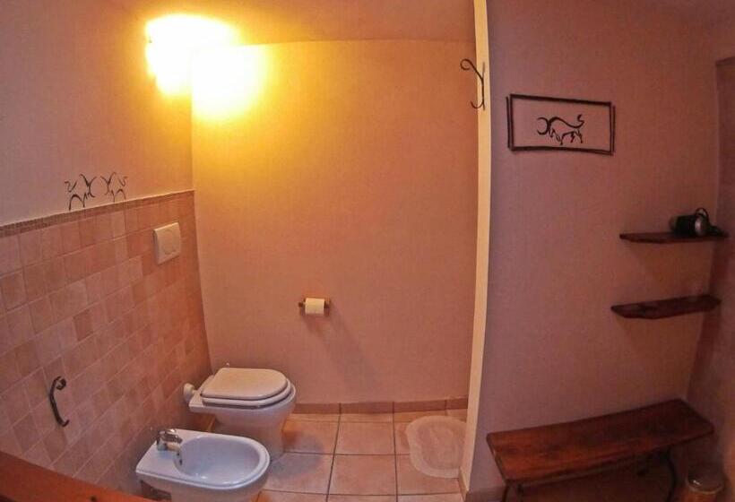 اتاق استاندارد, Art Rooms Joyful People