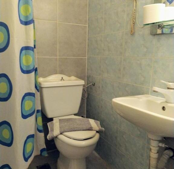 غرفة قياسية فردية, Delfini