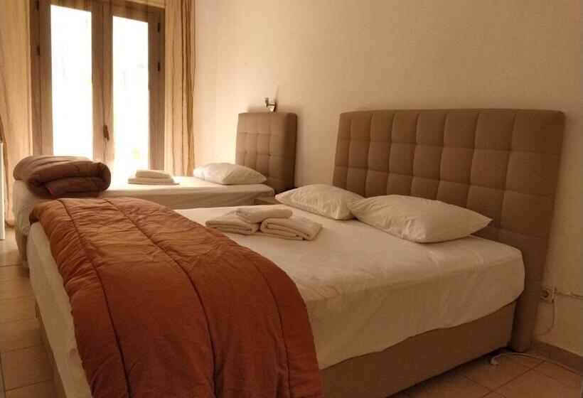 غرفة قياسية ثلاثية, Delfini