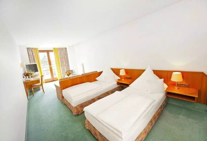 اتاق استاندارد, Gasthof Raab